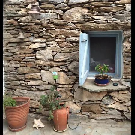 Not Traditional Original The Blue Cottage *